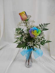 Double Rainbow Rose Budvase from Designs by Dennis, florist in Kingfisher, OK