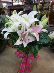 Mothers Day Vase of Lilies from Designs by Dennis, florist in Kingfisher, OK