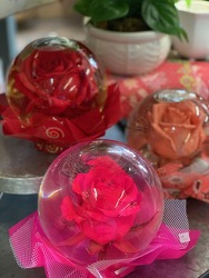 Keepsake Rose under glass from Designs by Dennis, florist in Kingfisher, OK