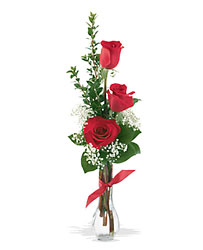 3 Red Roses from Designs by Dennis, florist in Kingfisher, OK