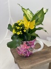 Spring Mug Planter from Designs by Dennis, florist in Kingfisher, OK