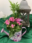 The Mothers Day Watering Can Planter from Designs by Dennis, florist in Kingfisher, OK