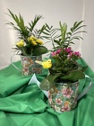 Mom's Watering Can Planter from Designs by Dennis, florist in Kingfisher, OK