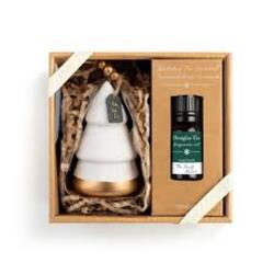 Tree Oil Diffuser from Designs by Dennis, florist in Kingfisher, OK