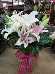 Vase of Fragrant Lilies from Designs by Dennis, florist in Kingfisher, OK