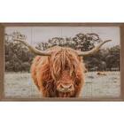 Highland In Pasture from Designs by Dennis, florist in Kingfisher, OK