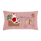 Mud Pie Sleigh Embroidered Pillow from Designs by Dennis, florist in Kingfisher, OK