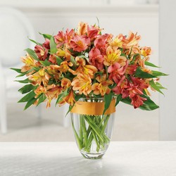 The Awesome Alstroemeria Bouquet from Designs by Dennis, florist in Kingfisher, OK