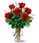 6 Red Roses from Designs by Dennis, florist in Kingfisher, OK