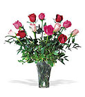 A Dozen Pink and Red Roses from Designs by Dennis, florist in Kingfisher, OK