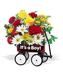 Baby's First Wagon from Designs by Dennis, florist in Kingfisher, OK